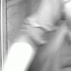 338